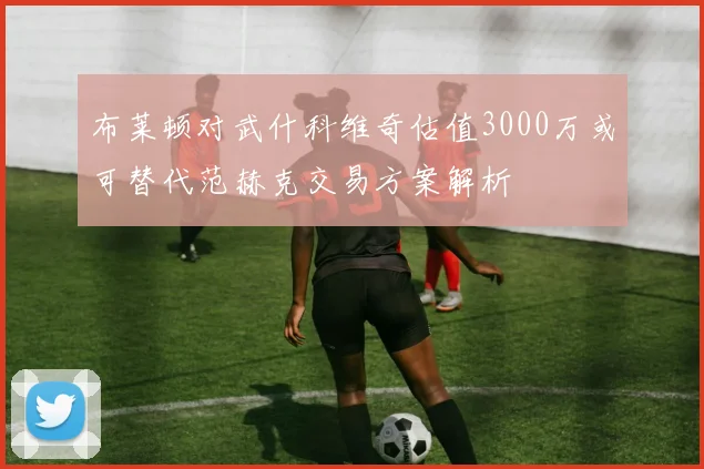 布莱顿对武什科维奇估值3000万或可替代范赫克交易方案解析