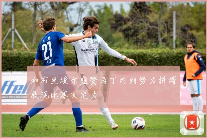 加布里埃尔盛赞马丁内利努力拼搏展现比赛决定力