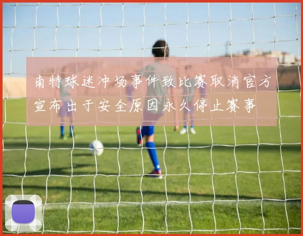 南特球迷冲场事件致比赛取消官方宣布出于安全原因永久停止赛事